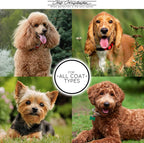 Chris Christensen highly concentrated professional pet conditioner texture display