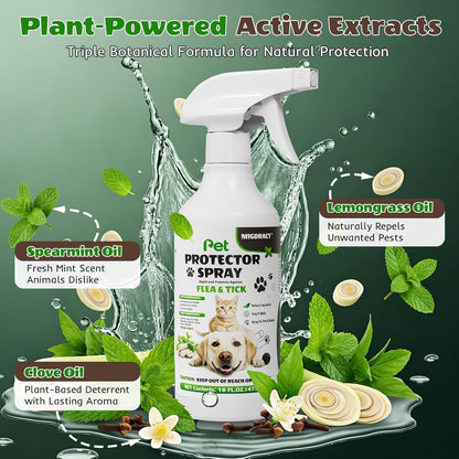 Migdracy 16 ounce pet protector spray applied on dog bedding and furniture