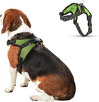 No Pull Reflective Adjustable Dog Harness with Handle- Comfortable Soft All Weather Mesh, Easy On Puppy Harness for Small Medium and Large Dogs (Red) Small - Image 14