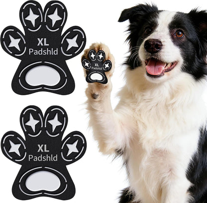 Dog playing safely on slippery floor with traction grips