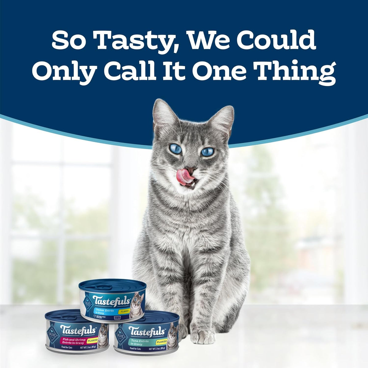 Blue Buffalo Tastefuls wet cat food variety pack cans arranged