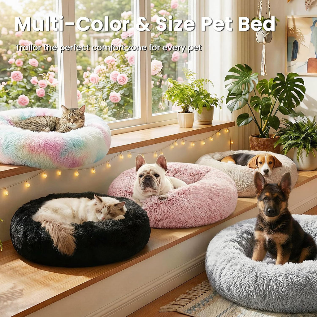 Small cat sleeping comfortably in Love's Cabin donut bed