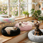 Small cat sleeping comfortably in Love's Cabin donut bed