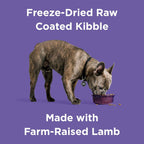BIXBI Rawbble Lamb Recipe grain free dry dog food packaging close up