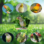 Washable parrot nappy inner cotton lining detail