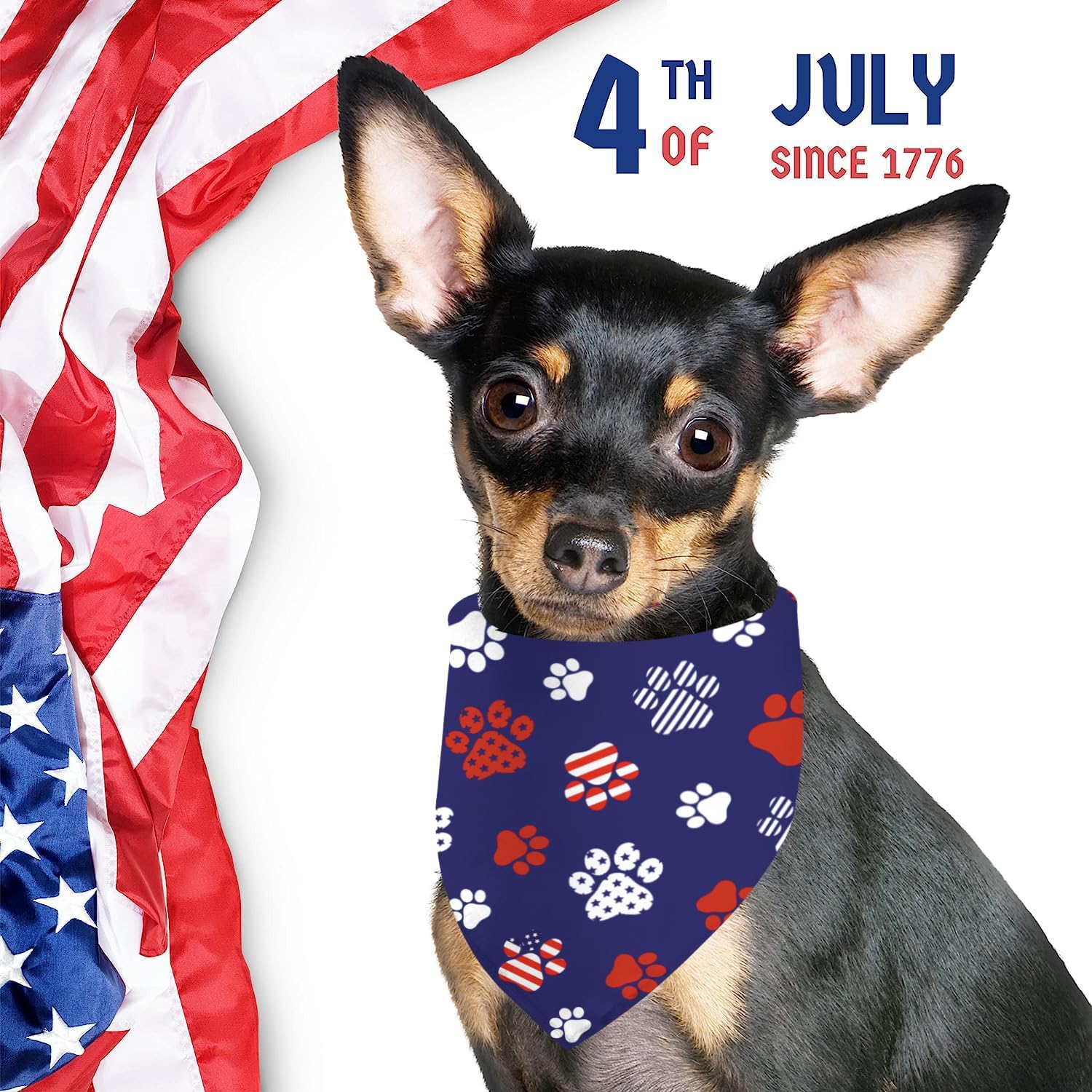 Small puppy wearing the adjusted GHSJYO Independence Day red and white star patterned neck wear