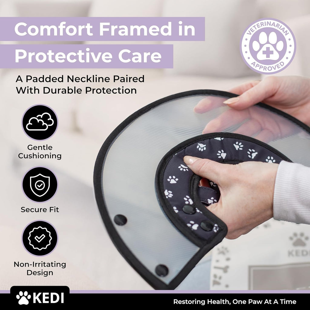 Kedi Cats Solutions protective kitten collar allowing easy eating and drinking