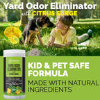 Pet safe yard deodorizer application on a concrete patio border for fresh outdoor spaces.