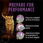 Cat using litter box with Tidy Cats Performance Plus