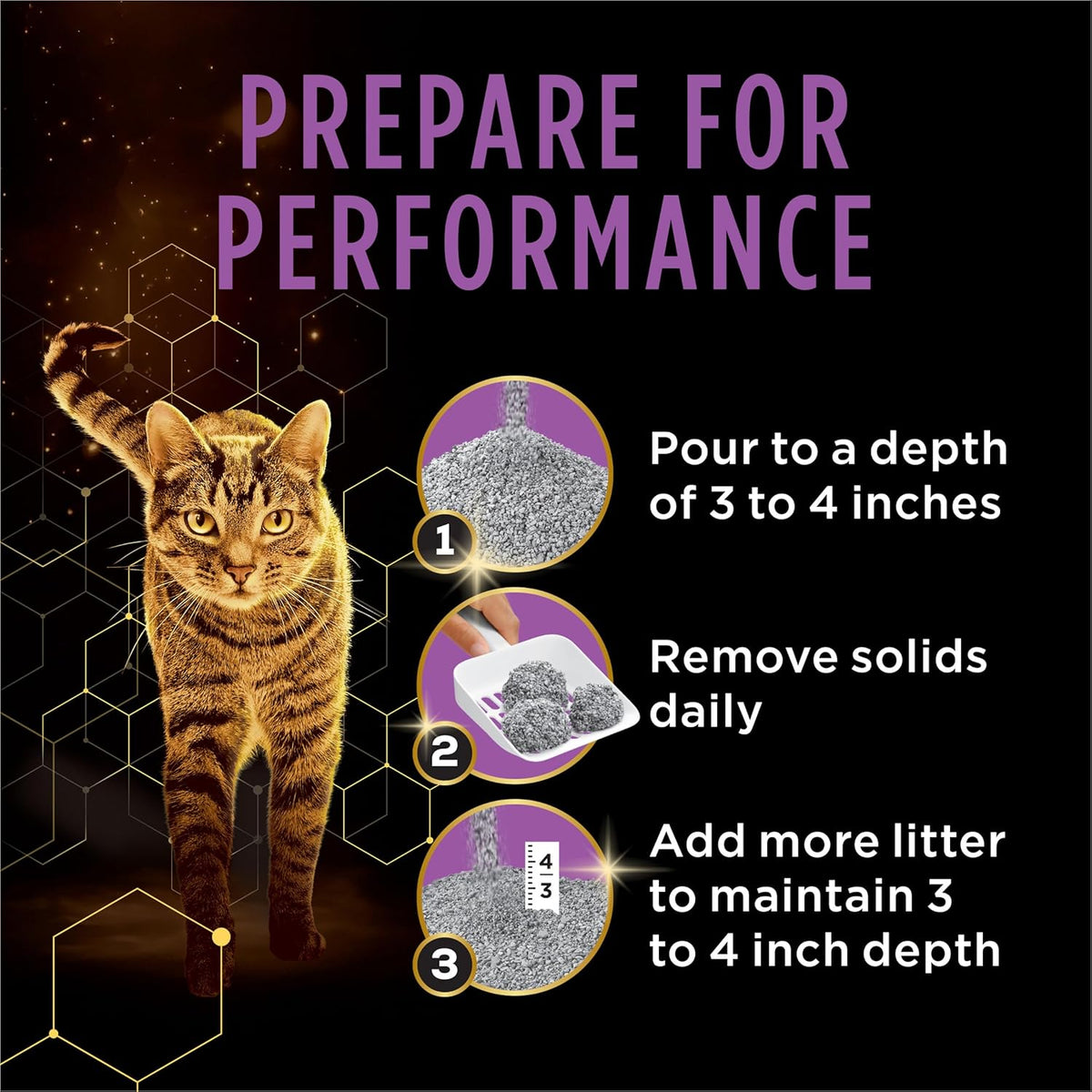 Cat using litter box with Tidy Cats Performance Plus