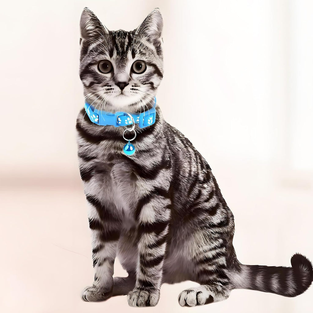 Six pack of vibrant reflective cat collars spread out to display red blue orange green black and pink options.