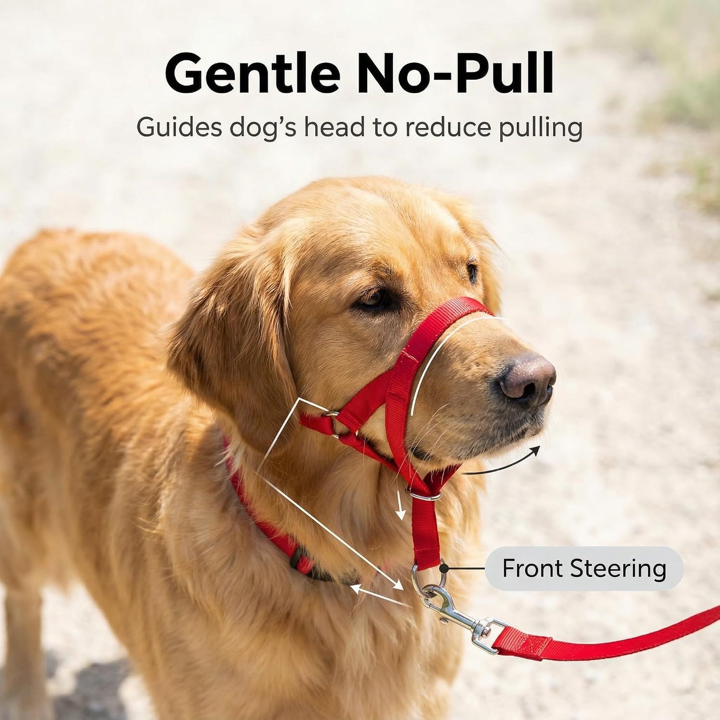 Zevey authentic imported pet training collar in red showing safety strap connection.
