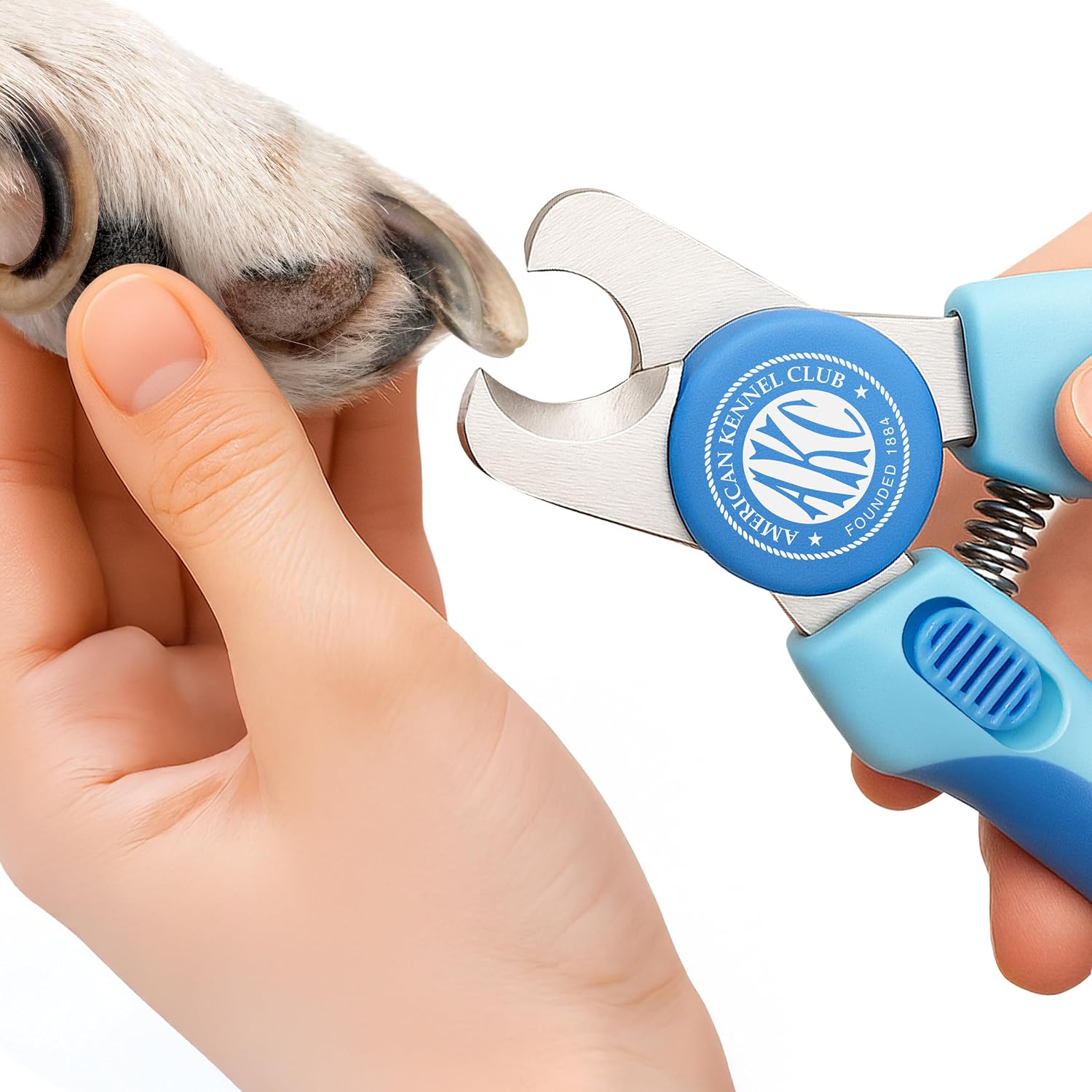 AKC - Double-Sided Grooming Brush for Dogs & Cats |Soft Bristles & Stainless Steel Pins for Removing Tangles, Shedding & Loose Fur |Gentle on Skin | Comfortable Grip Handle for Easy Brushing & Bathing - Image 9