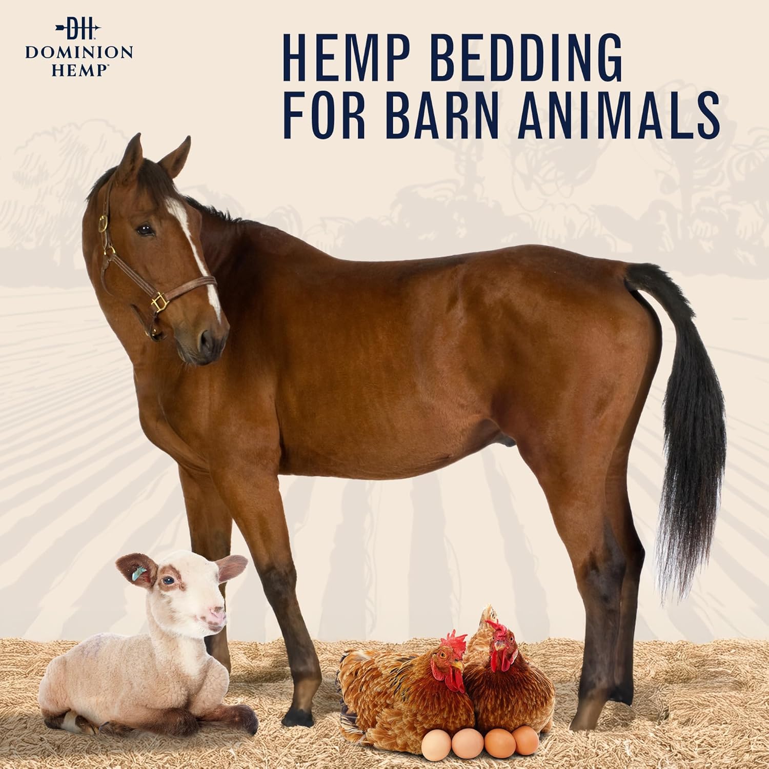 Hemp bedding inside a clean chicken nesting box