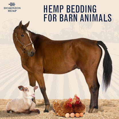 Hemp bedding inside a clean chicken nesting box