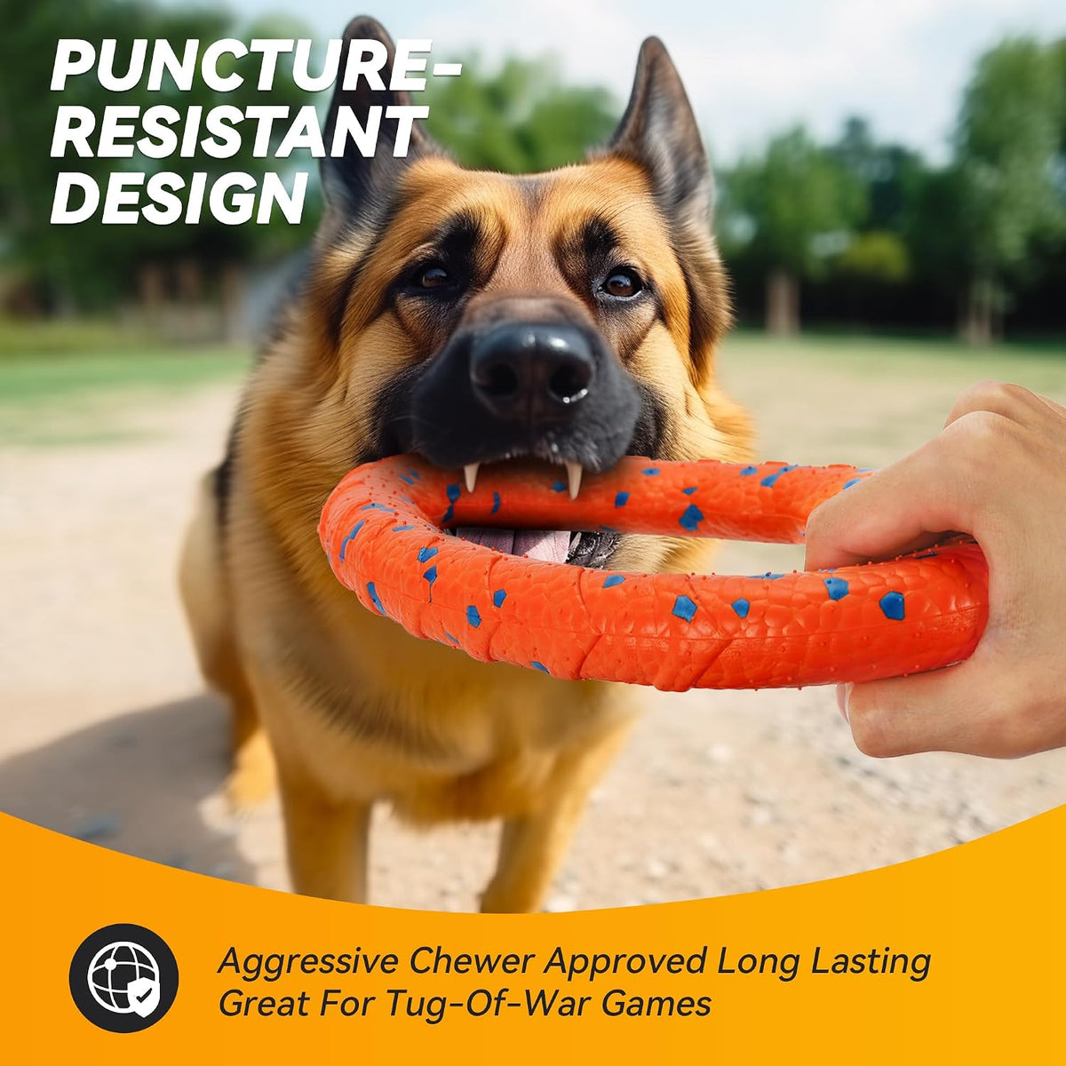 Fusoto dog ring floating on water surface