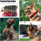 Quick release metal buckle mechanism for dog collar