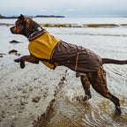 Midnight Blue Ruffwear dog coat showing the fold-up oversized storm collar.