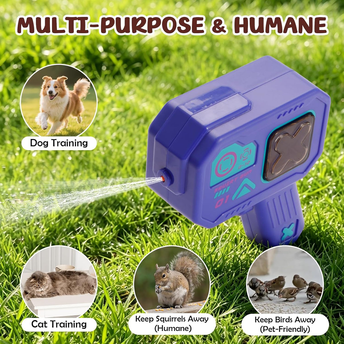 Professional pet training accessory for home use