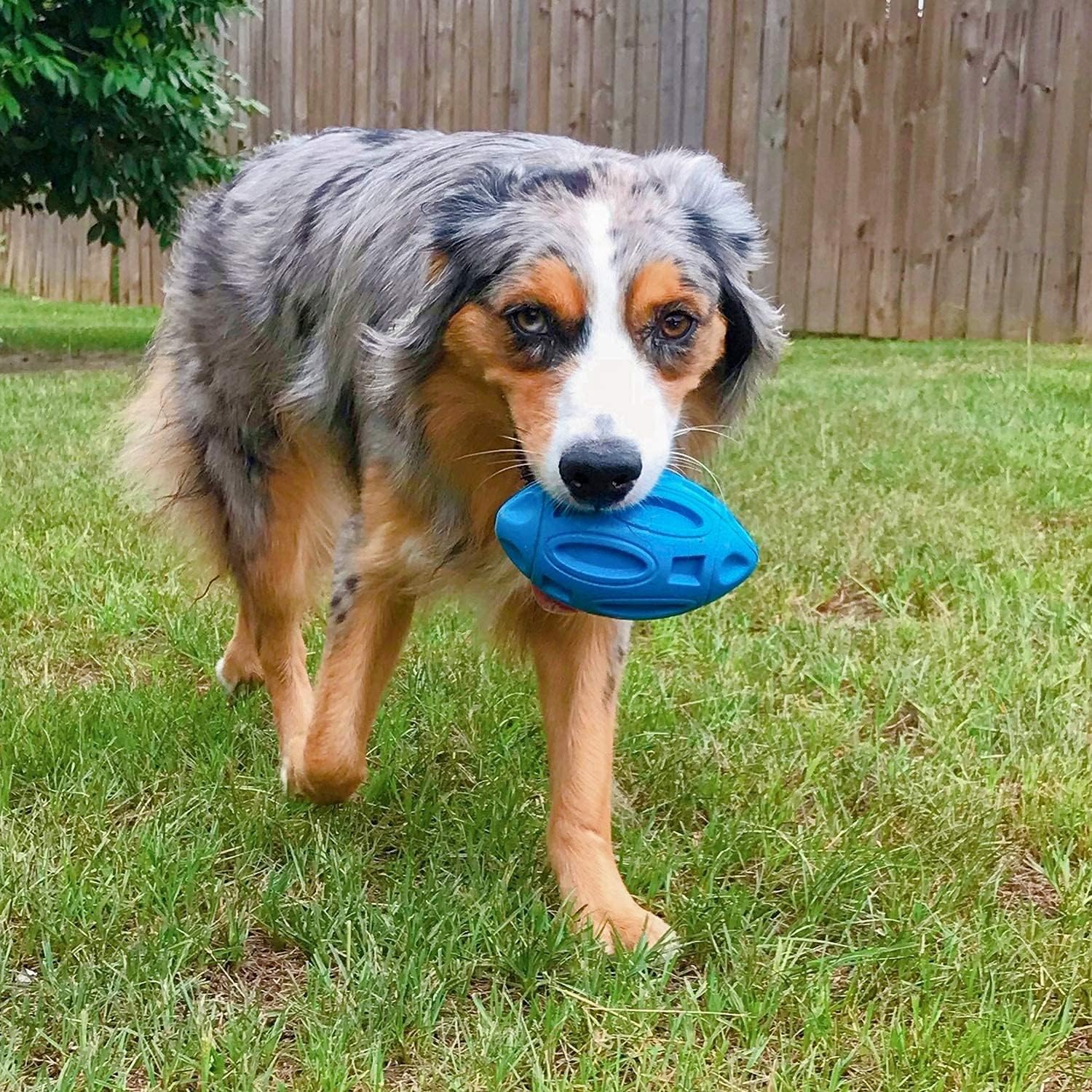 Durable pet chew toy showing molded divots for easy gripping.