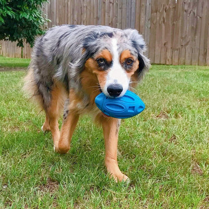 Durable pet chew toy showing molded divots for easy gripping.