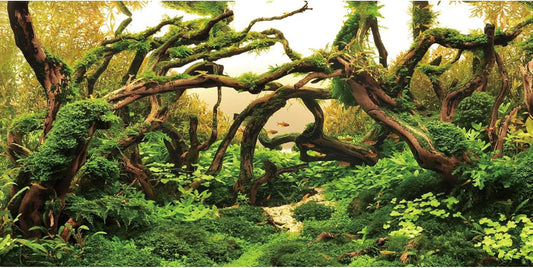 AWERT aquarium background branches front view natural river bed fish tank backdrop