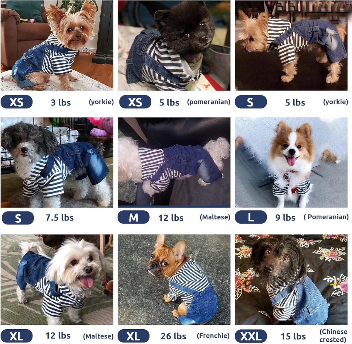 Doggyzstyle one piece jacket hooded coat for small dogs three button design