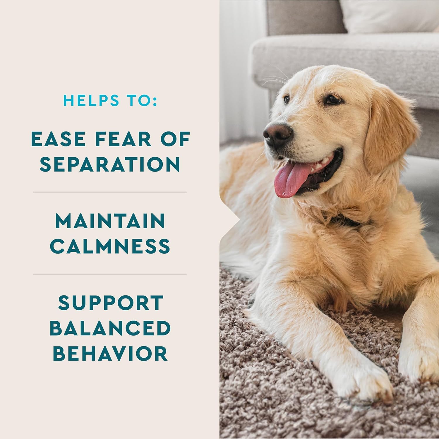 VetIQ dog calming chews hickory smoke flavor emotional balance treats.