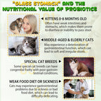 Two fluid ounce bottle of NBTREKTIE cat gut health drops with packaging box on plain background.