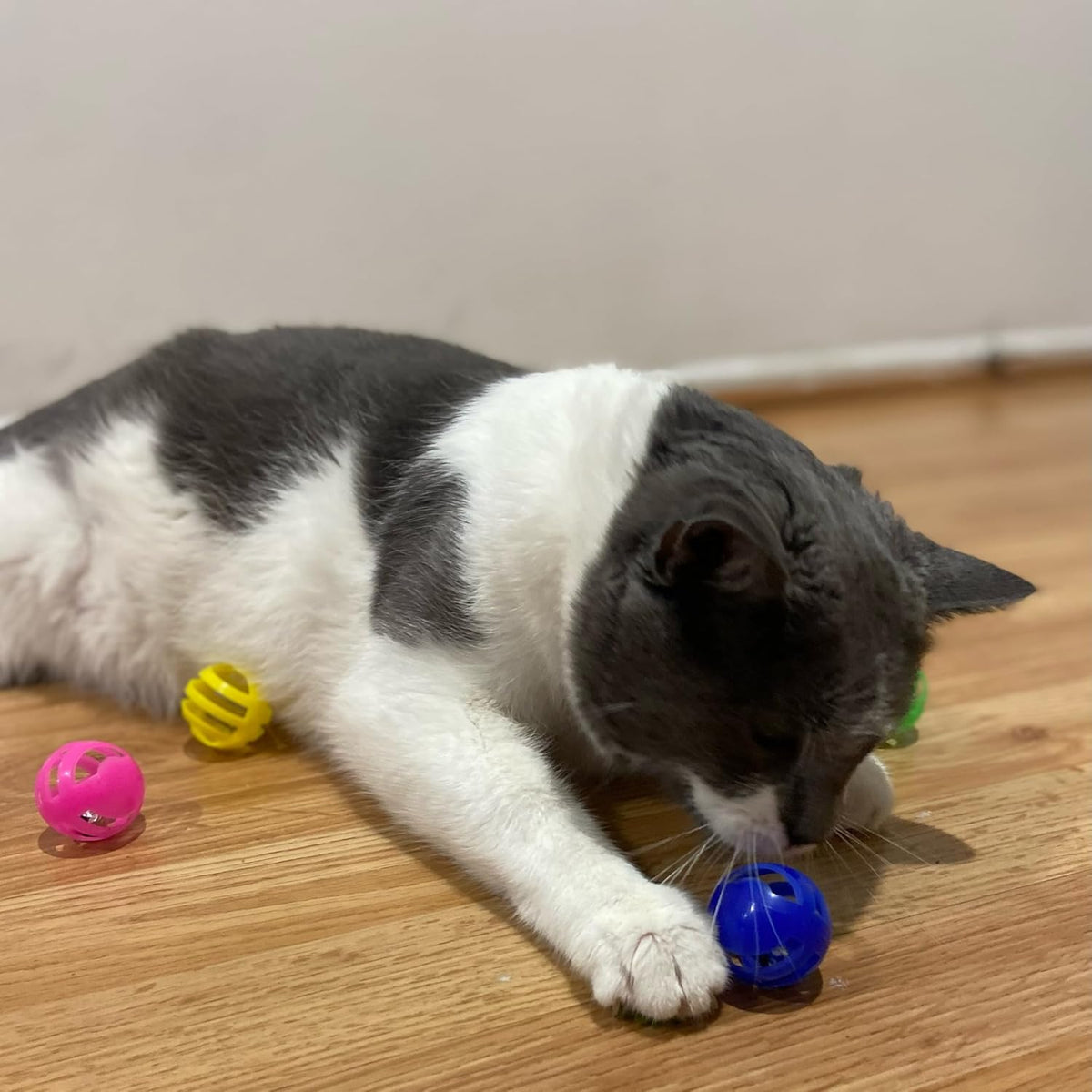 SPOT Slotted Balls Cat Toy - Interactive Cat Toys for Indoor Cats to Chase, Hunt and Stimulate - Jingle Bell Inside for Sound When Batted Around - Safe and Non-Toxic - 1.5" Assorted 4-Pack - Image 3