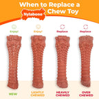 Nylabone Original Bone Power Chew Toys for Dogs, Durable & Tough Dog Toys for Aggressive Chewers, Long Lasting Chicken, Bacon, and Peanut Butter Flavor, Small - Up to 25 lbs, 1 Count - Image 9