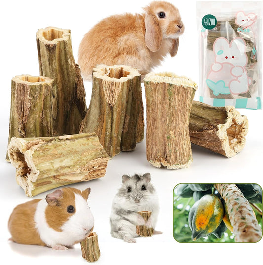 Abizoo natural bunny chew toys pack front view organic pet treats
