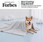 Washable dog cooling throw blanket laid flat showing large size