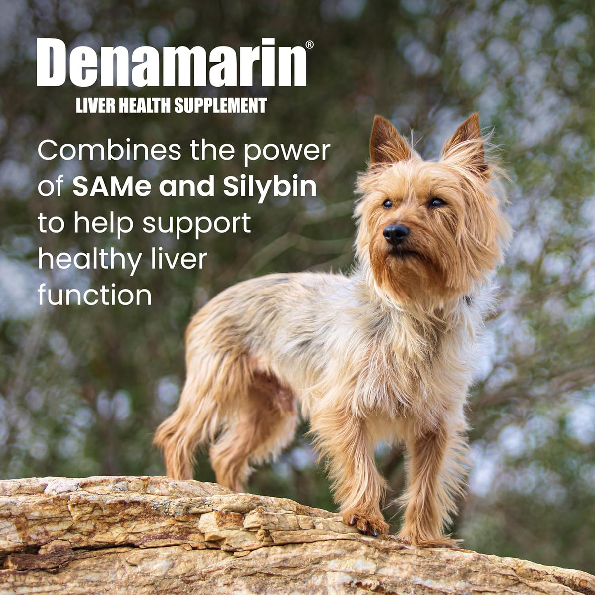 Nutramax Laboratories Denamarin 30 coated tablets packaging showing ingredients list