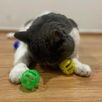 SPOT Slotted Balls Cat Toy - Interactive Cat Toys for Indoor Cats to Chase, Hunt and Stimulate - Jingle Bell Inside for Sound When Batted Around - Safe and Non-Toxic - 1.5" Assorted 4-Pack - Image 9