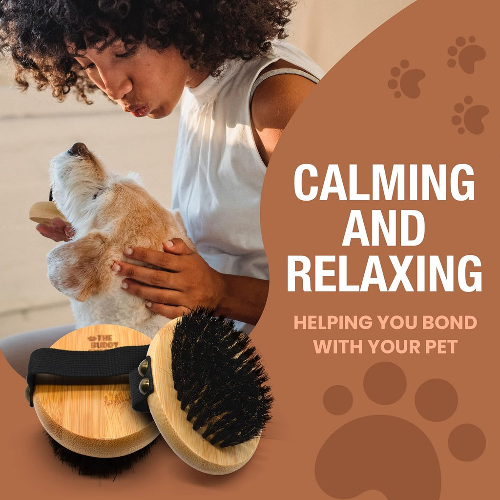 Soft boar bristle palm brush being used gently around a pet's face and ears for anxiety free shedding control.