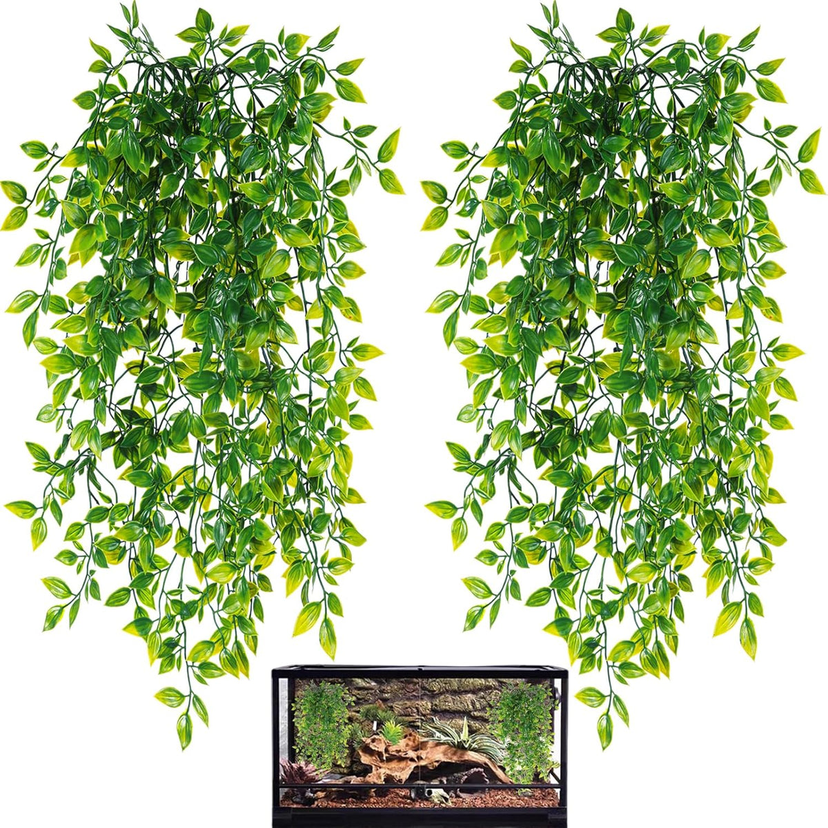 Hercocci 2 Pack Reptile Plants front view in terrarium