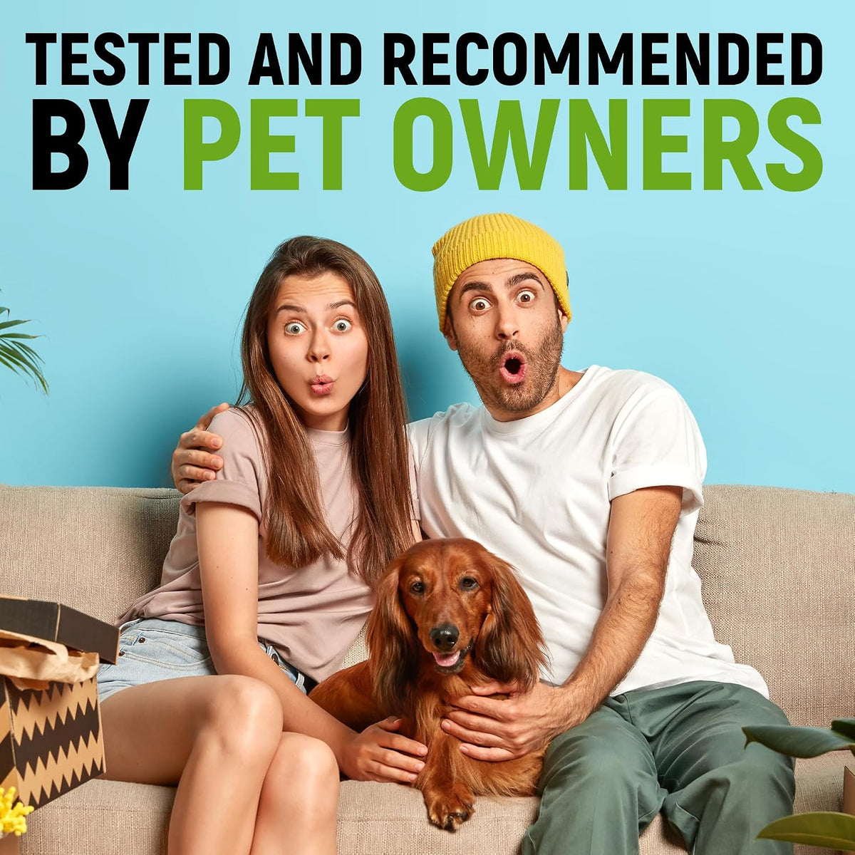 Golden Paw authentic imported pet gut health product with multi strain defense overview.