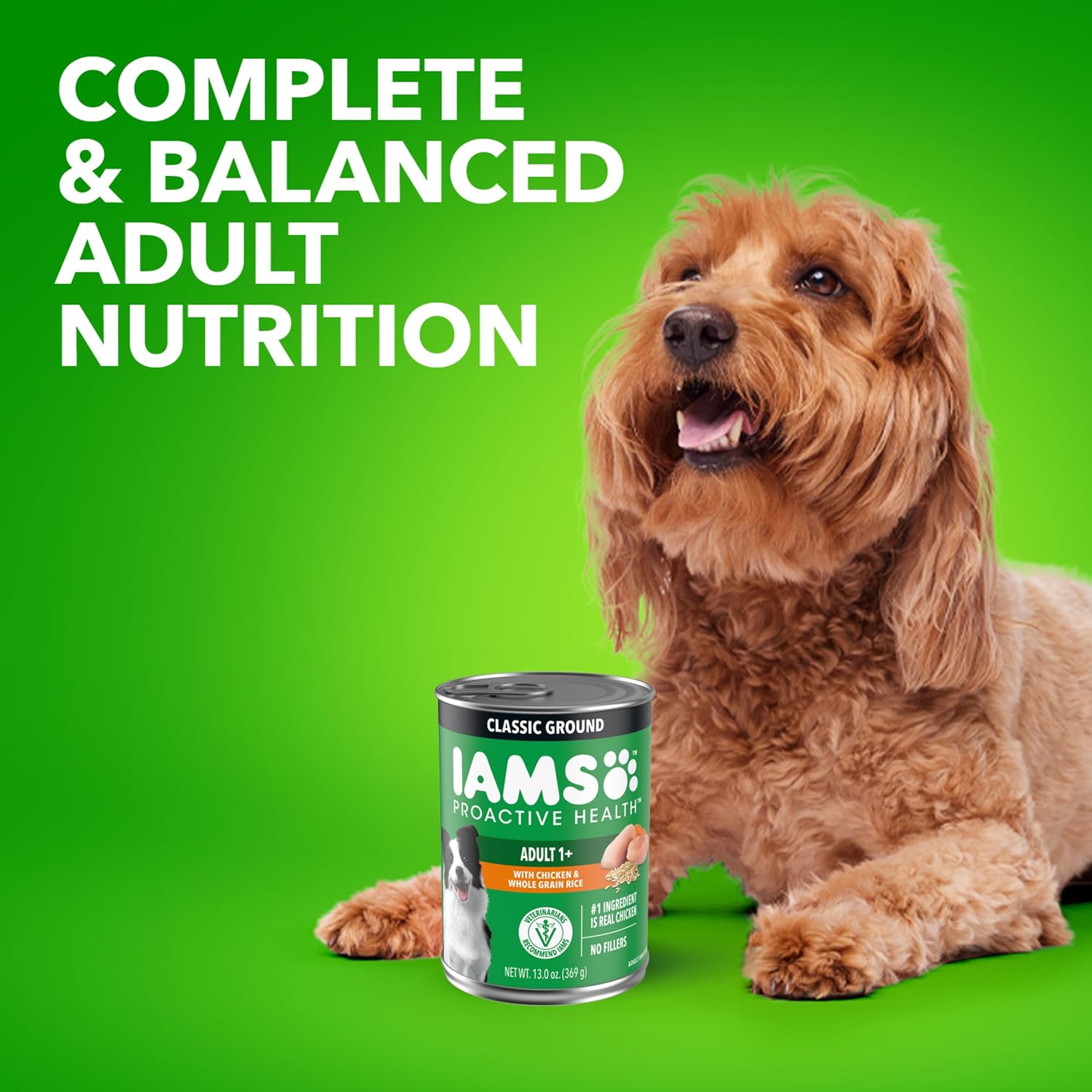 IAMS Proactive Health Wet Dog Food, Adult Wet Dog Food Multipack Ground Dinner, with Chicken & Rice, 13 oz. Cans (Pack of 12) - Image 10
