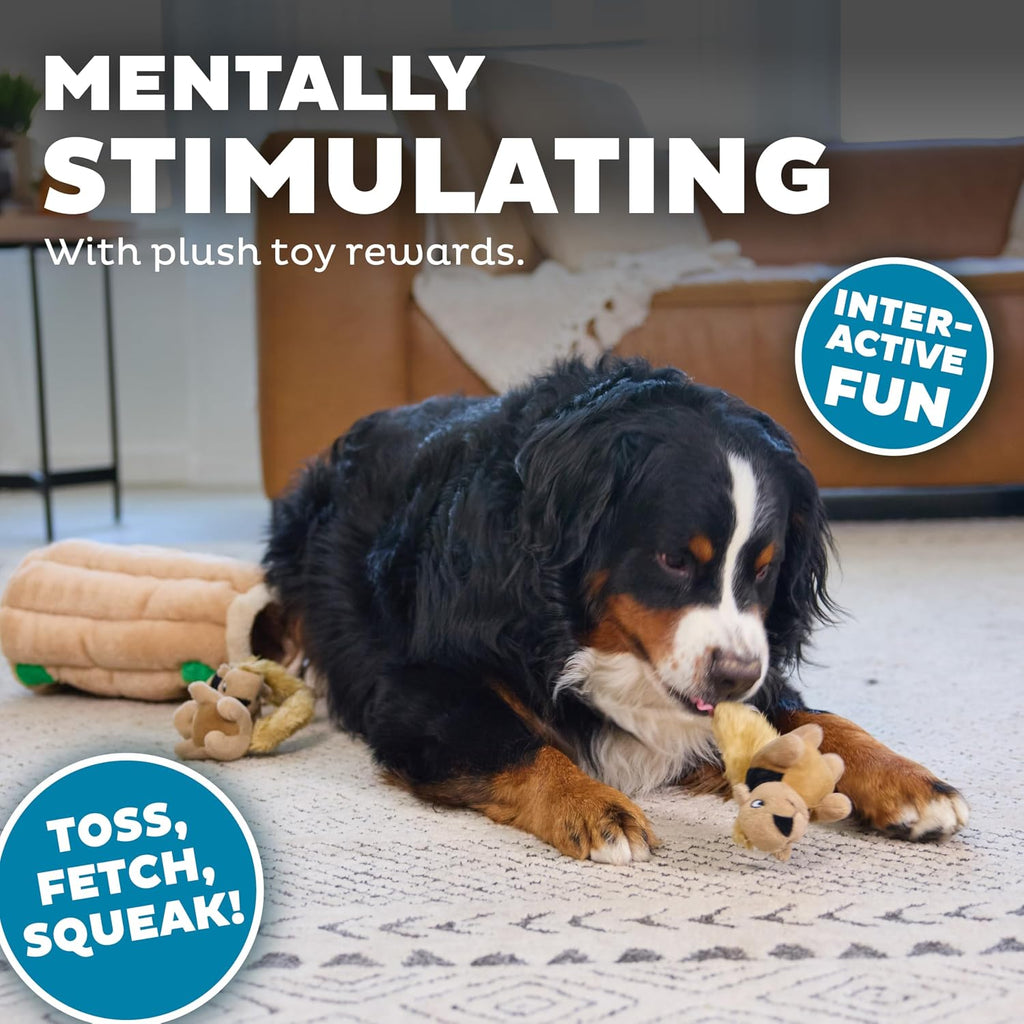 Outward Hound Hide-A-Squirrel Plush Puzzle Top View Showing Holes For Sniffing And Hunting