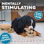 Outward Hound Hide-A-Squirrel Plush Puzzle Top View Showing Holes For Sniffing And Hunting