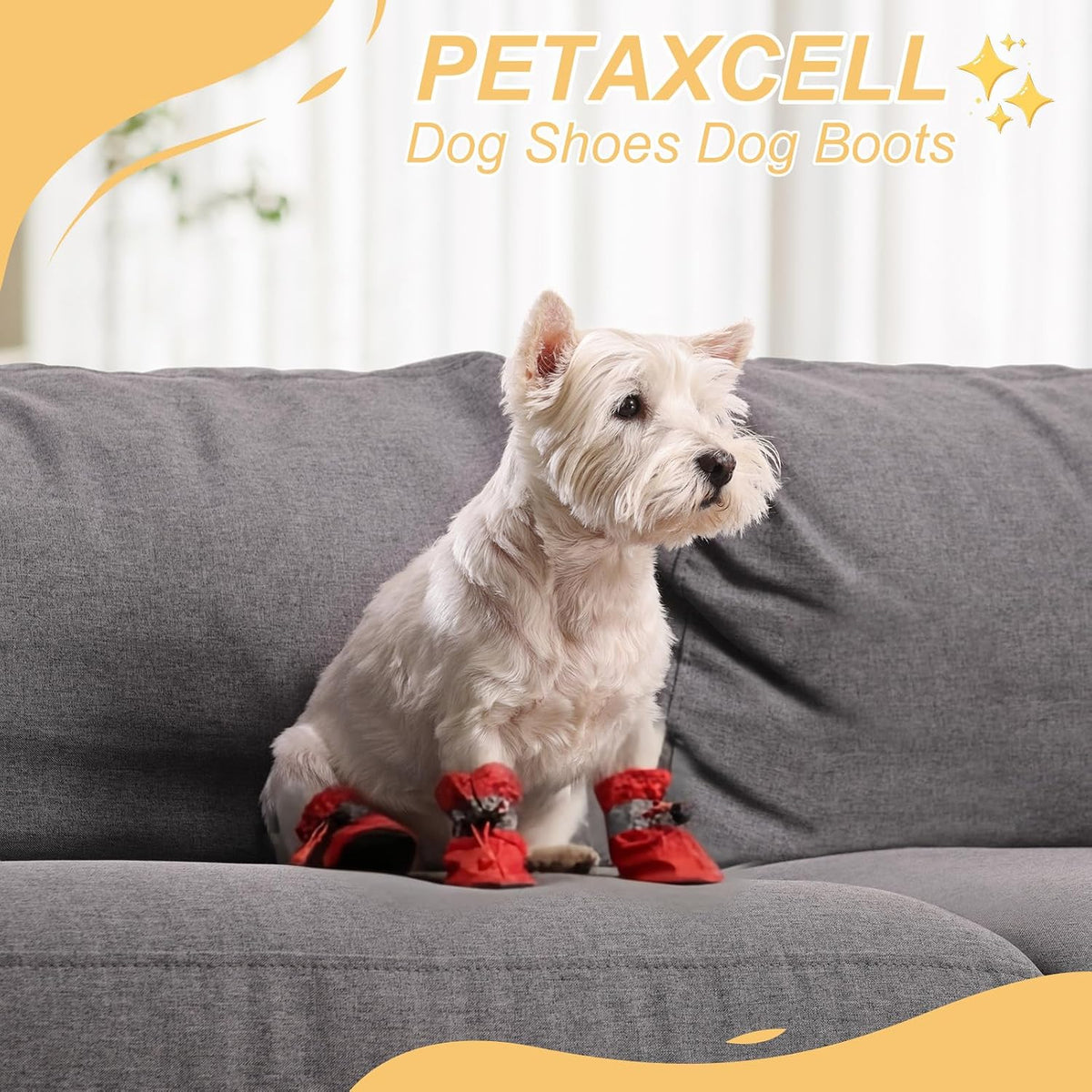 Adjustable buckle detail on Petaxcell dog shoes