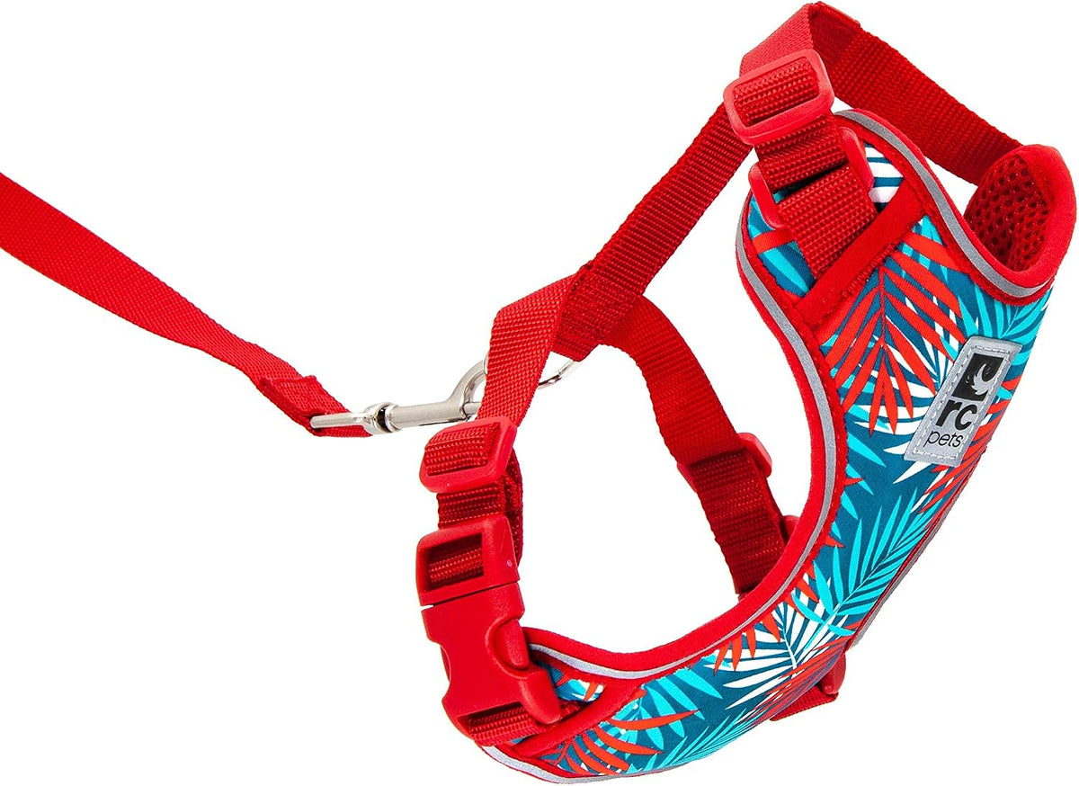 RC Pets Adventure Kitty Cat Harness | Adjustable Airmesh Vest with D-Ring and 6ft Leash for Walking and Travel | Marigold, Medium - Image 14