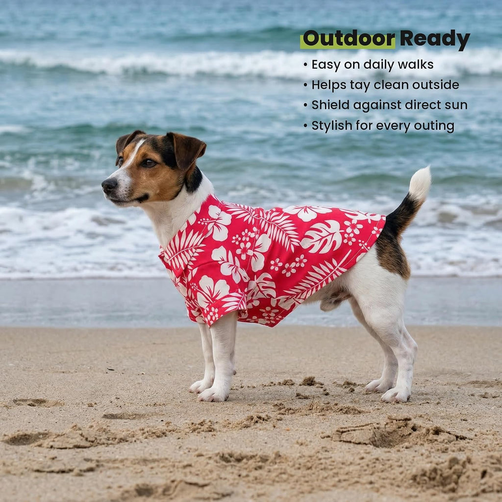Small dog ready for summer beach day in Hawaiian shirt