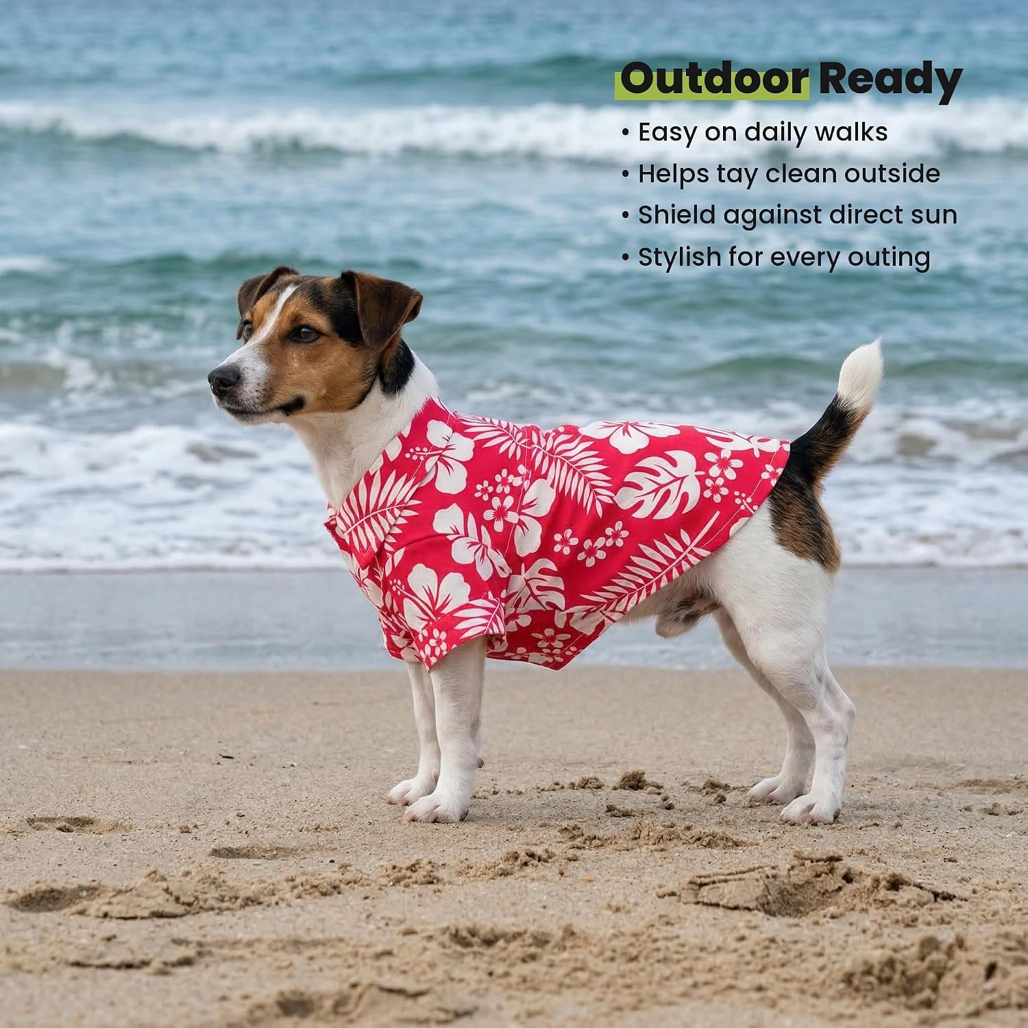 Small dog ready for summer beach day in Hawaiian shirt