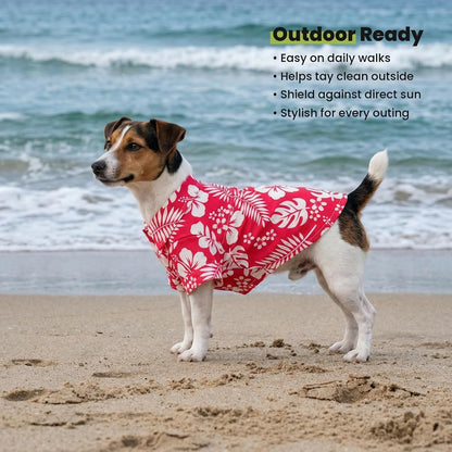 Small dog ready for summer beach day in Hawaiian shirt