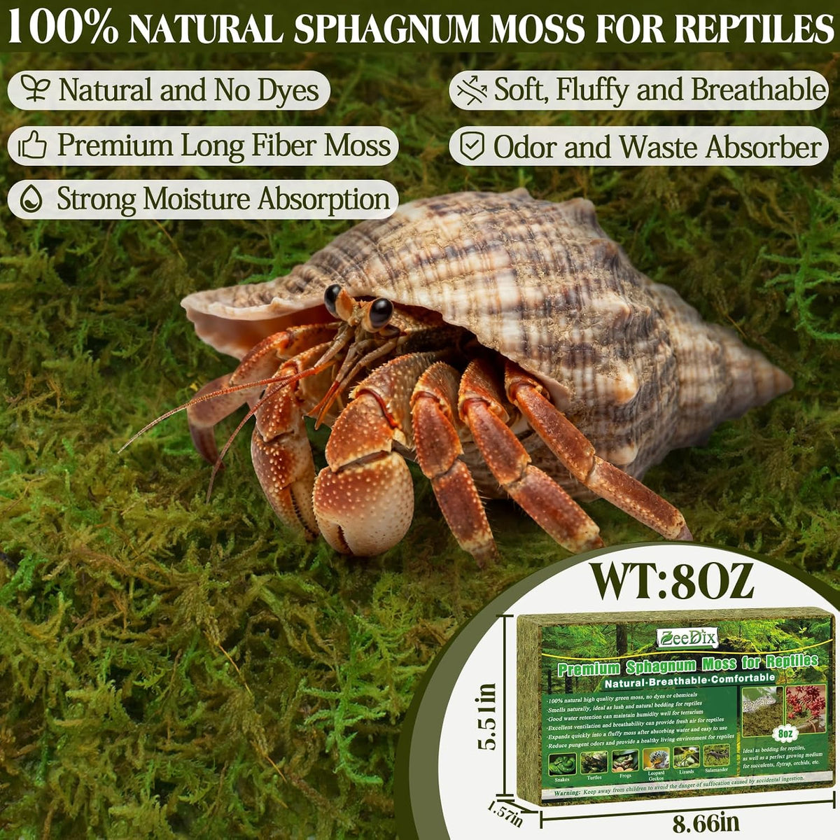 Hydrated ZeeDix reptile moss bedding expanding in a clean container.