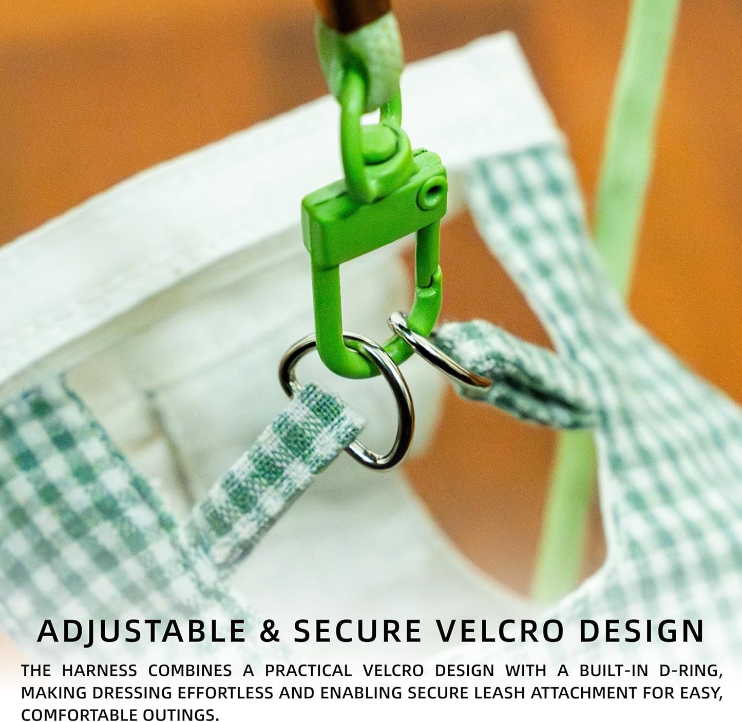 Comfortable fashion apparel for small animals weighing 350 to 500 grams