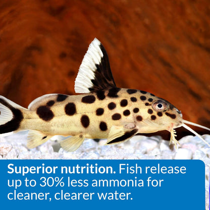 Close up of sinking fish food pellets for bottom dwellers