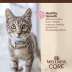 Natural grain free kitten food with DHA and taurine for brain development